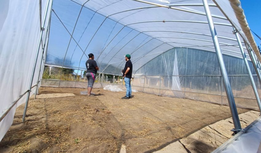Biobío: entregan invernaderos a pequeñas agricultoras afectadas por incendios