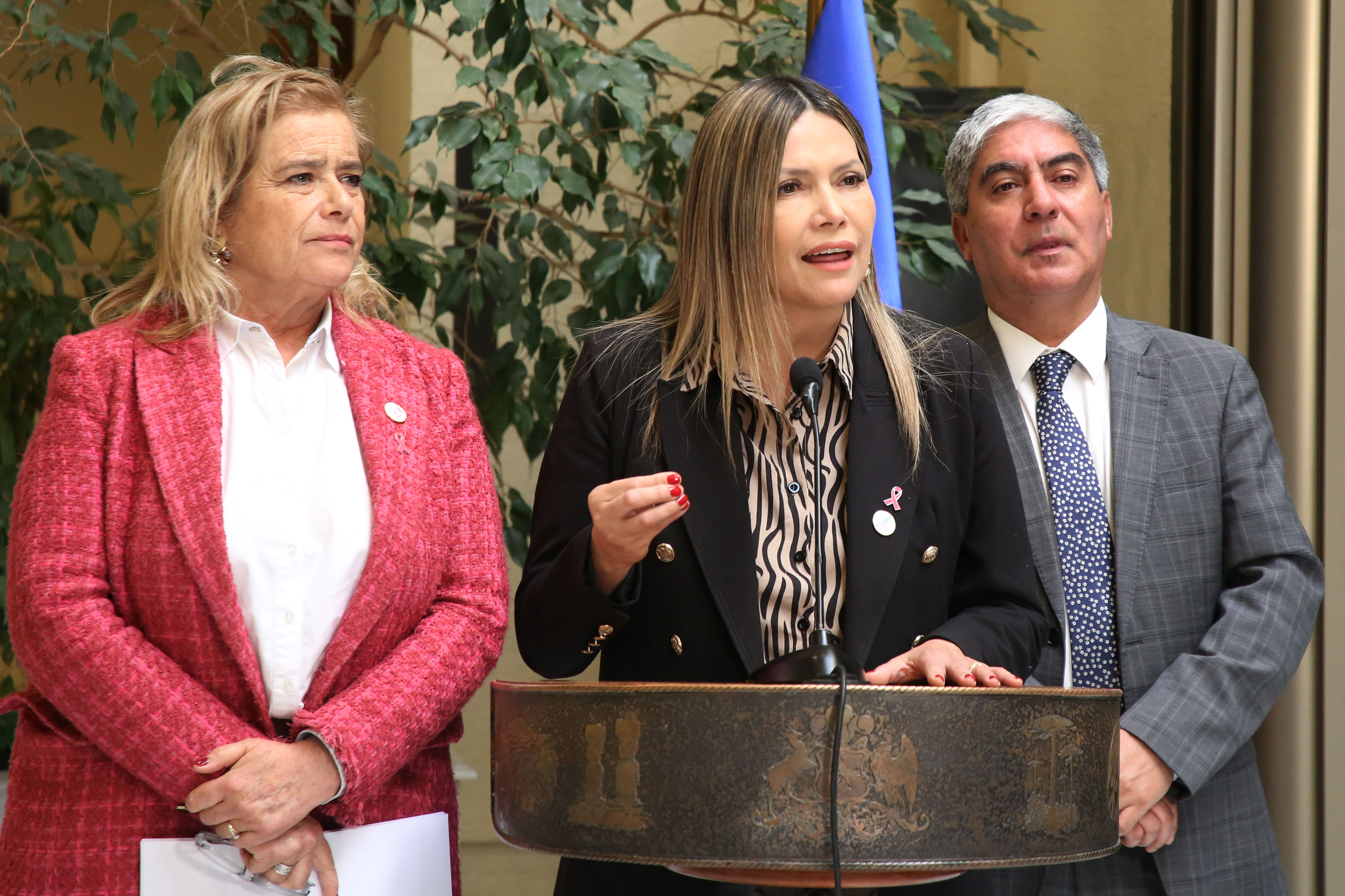 Diputada Marlene Pérez presenta proyecto de ley que autoriza a los colegios y centros de salud a poder instalar detectores de metales en los accesos
