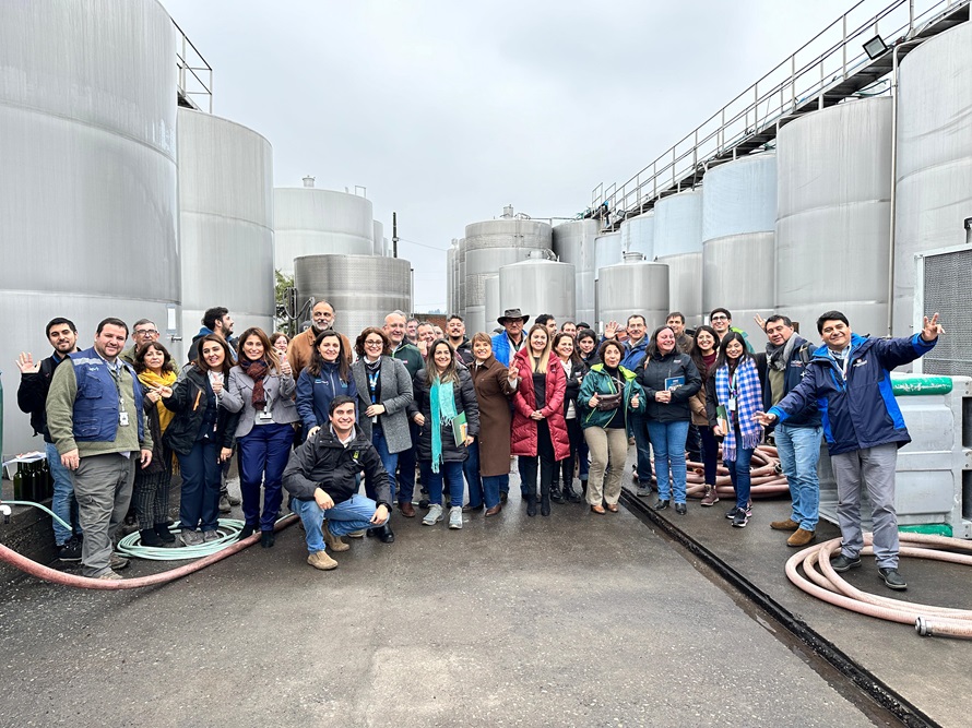 Viñateros del Biobío se incorporan a la Mesa Tri-regional del Vino 