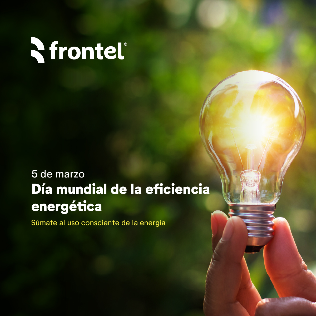 Frontel invita a tomar conciencia y hacer uso eficiente de la energía   