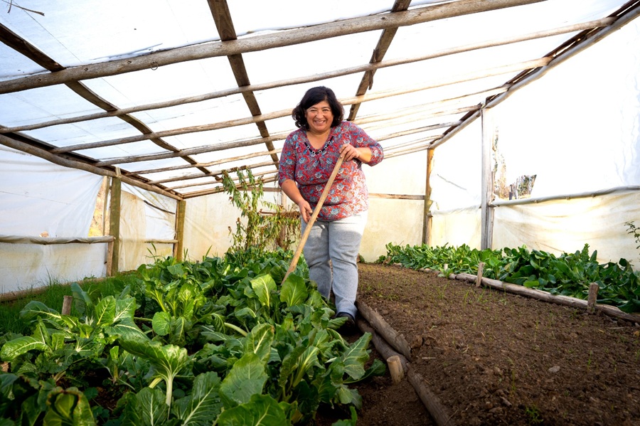 Con apoyo de INDAP: mujeres rurales del Biobío avanzan en autonomía y liderazgo 