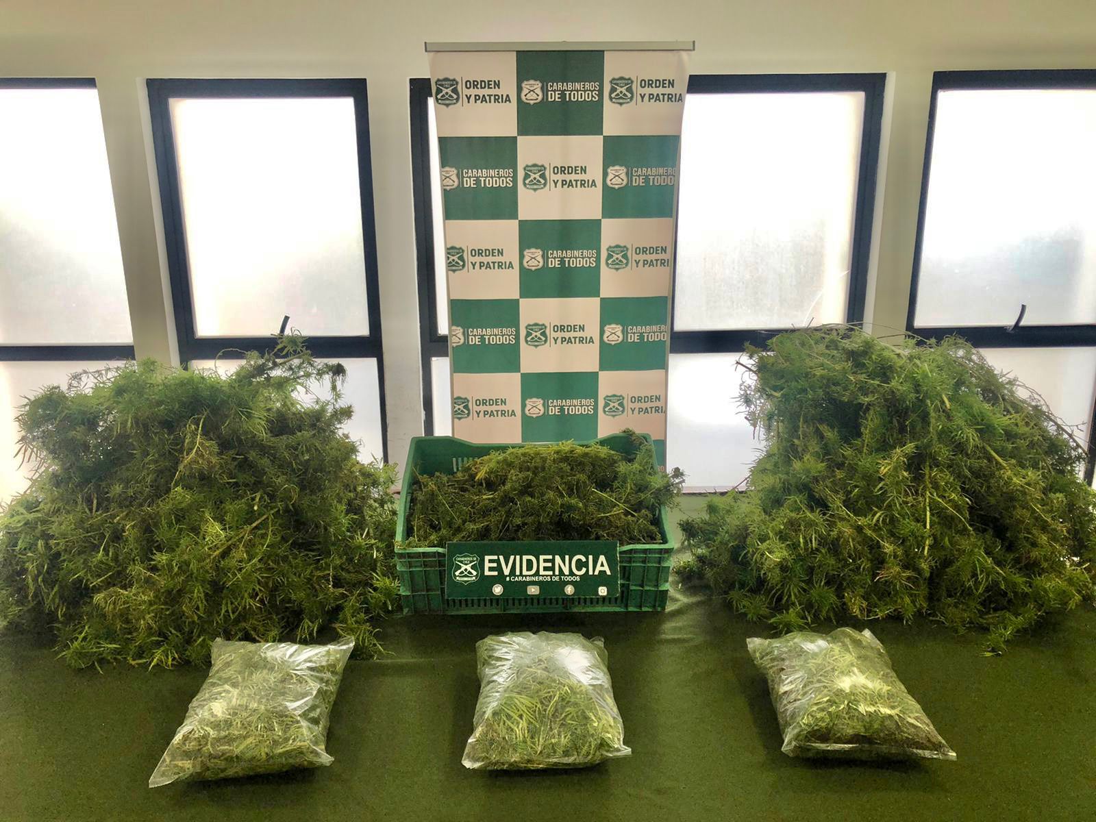 Un detenido por tráfico de drogas dejó operativo de Carabineros del O.S.7 Bío Bío en Los Ángeles.