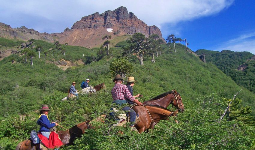 $9 mil millones de inversión: inician pavimentación de ruta para potenciar el turismo de Alto Biobío