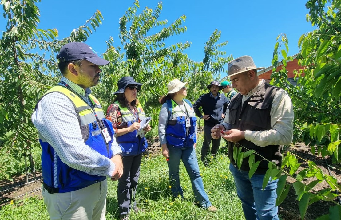 Verifican cumplimientos de protocolos para cuidar a trabajadores y trabajadoras Agrícolas
