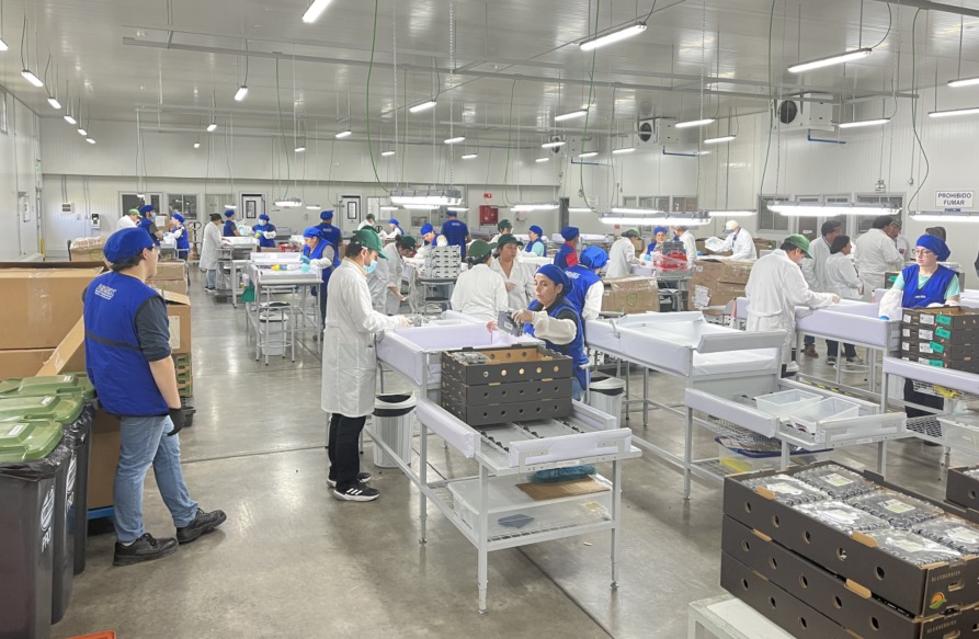 SAG Biobío coordina inicio de temporada de exportaciones agrícolas
