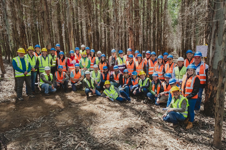 Líderes de CAMCORE conocen avances de CMPC en genética y sostenibilidad forestal