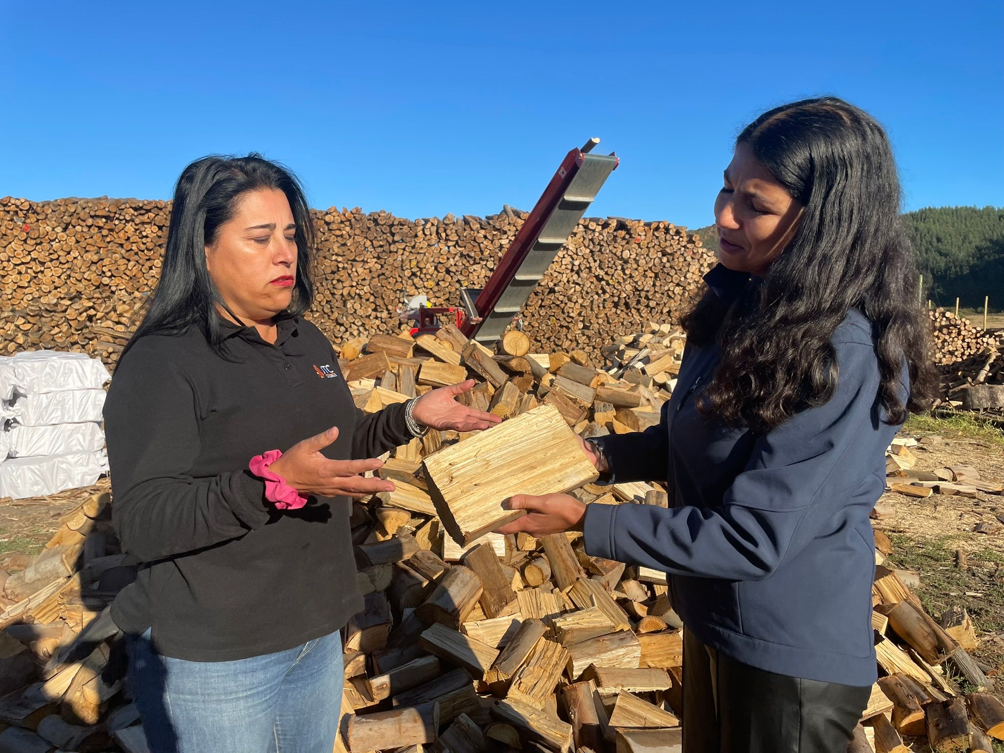 Se amplia oferta de Leña Seca en el Biobío con nuevo Centro Integral de Biomasa