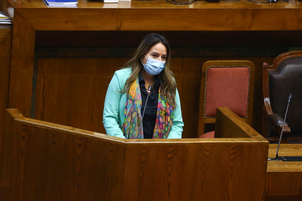 Diputada Joanna Pérez calificó como “un gran avance” la aprobación del voto obligatorio