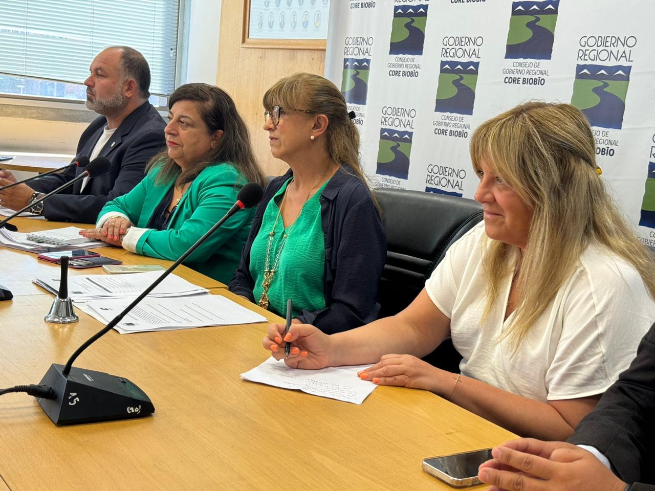 Gobierno Regional avanza en plan de bienestar psicosocial para personas cuidadoras