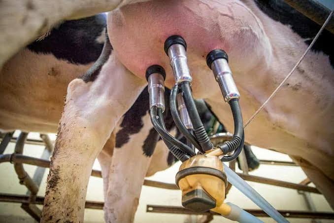Comisión Nacional de la Leche analiza recuperación del sector y define prioridades para 2026-2027