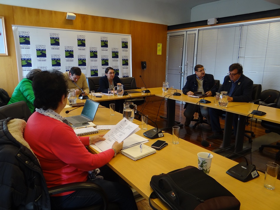 Consejeros Regionales del Biobío solidarizan con Colegio Médico por situación de salud en la región
