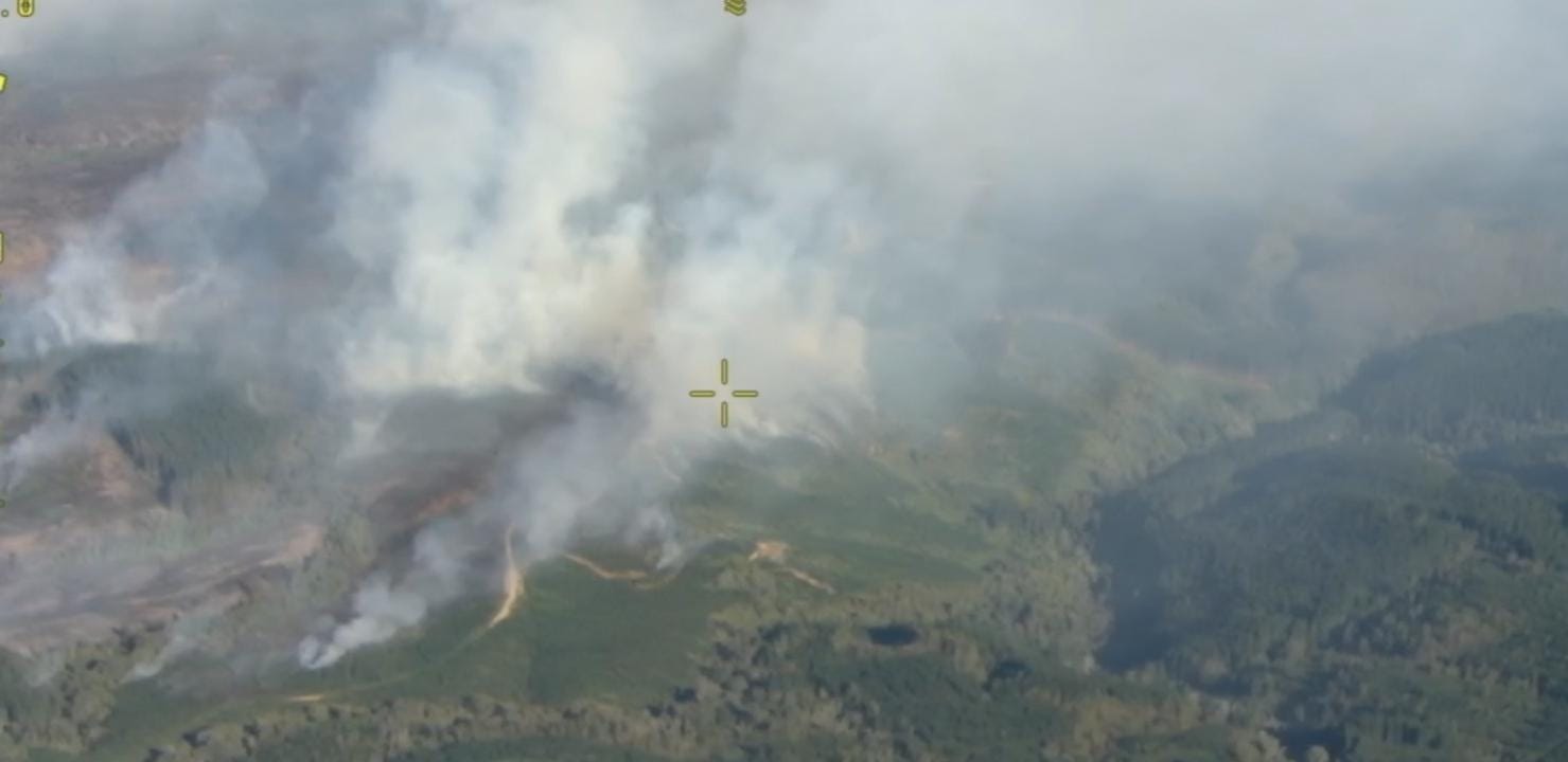 CMPC enfrentó cuatro nuevos incendios y refuerza combate de cinco emergencias iniciadas en días previos