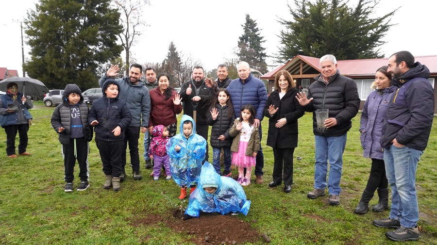Corma celebra el Día de la Plantación con donación de 200 árboles a vecinos de Pillanlebún