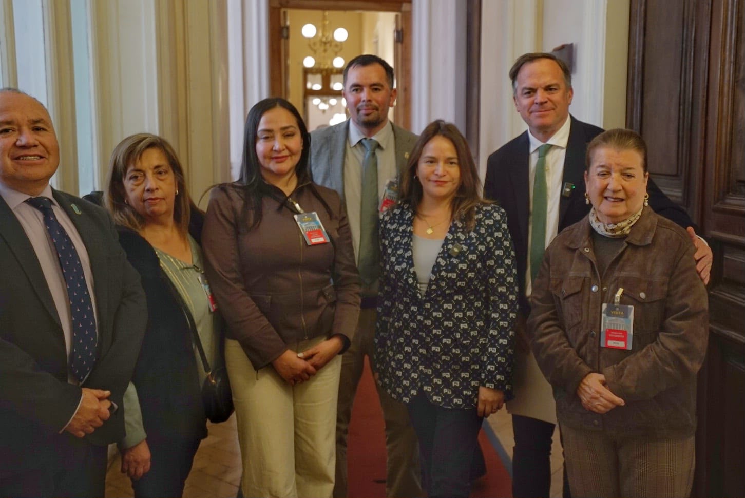 Diputada Joanna Pérez solicita eliminar el cargo por hora punta y fortalecer la protección de las personas electro dependientes